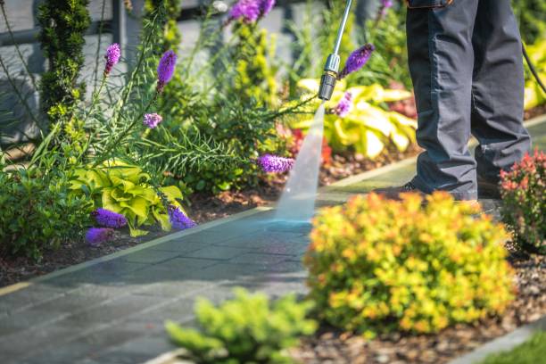 Best Pre-Holiday Cleaning  in Deephaven, MN