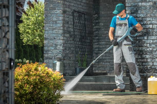 Best Solar Panel Cleaning  in Deephaven, MN